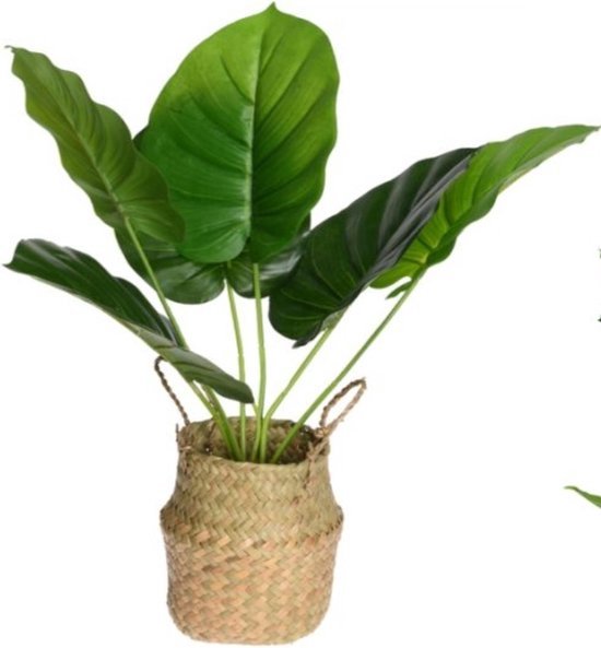 Celia Kunstplant in mand - 46 cm - Decoratie - Plant