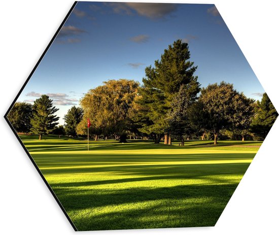 WallClassics - Dibond Hexagon - Golfbaan met Bomen - 30x26.1 cm Foto op Hexagon (Met Ophangsysteem)