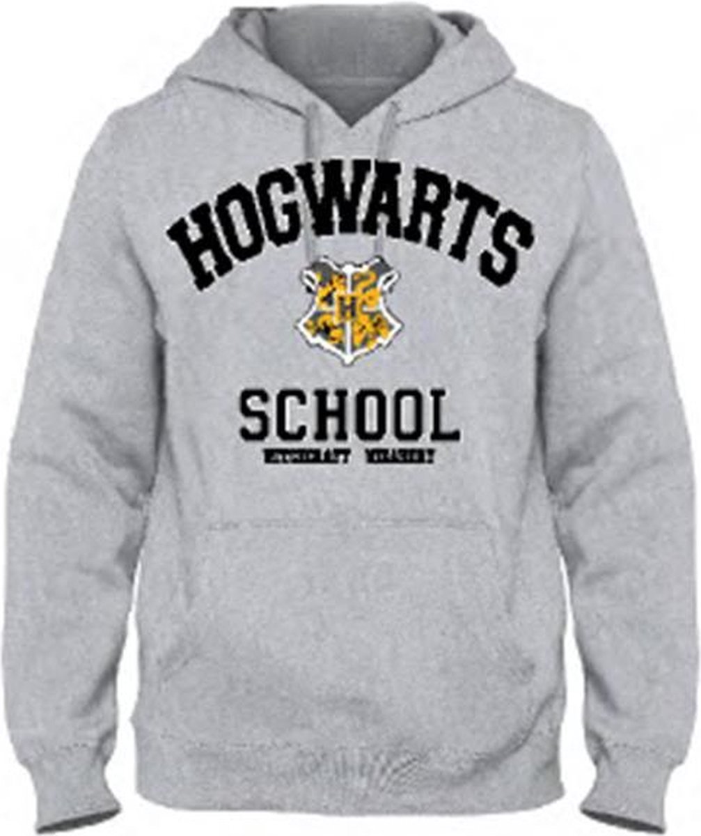 Harry Potter - Hogwarts School Grijs Heren Sweat Hoodie - XL