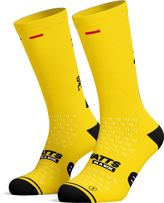 Chaussettes de vélo Watts in a box - Tour of Lions - Toutes saisons - Taille L/XL (43-47)