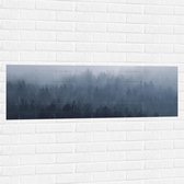 WallClassics - Muursticker - Bos in de Mist - 120x40 cm Foto op Muursticker