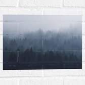 WallClassics - Muursticker - Bos in de Mist - 40x30 cm Foto op Muursticker