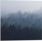 WallClassics - Acrylglas - Bos in de Mist - 50x50 cm Foto op Acrylglas (Met Ophangsysteem)