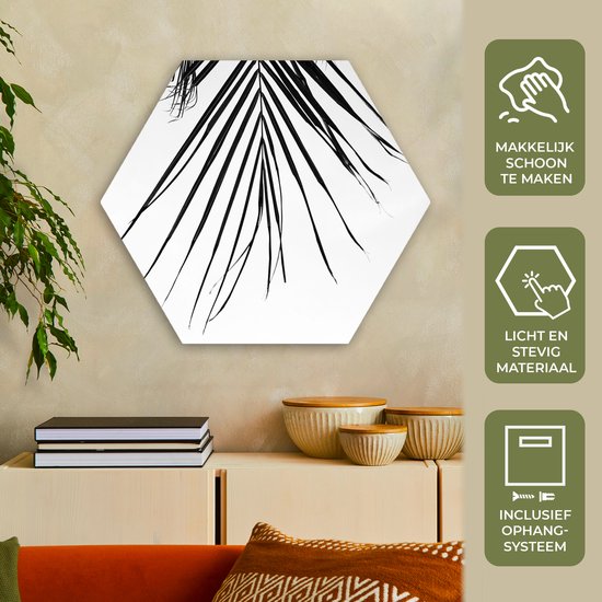 Décoration murale Hexagone - Décoration murale en plastique - Tableau Hexagone - Palmier - Été - Feuilles - Tropical - 75x65 cm