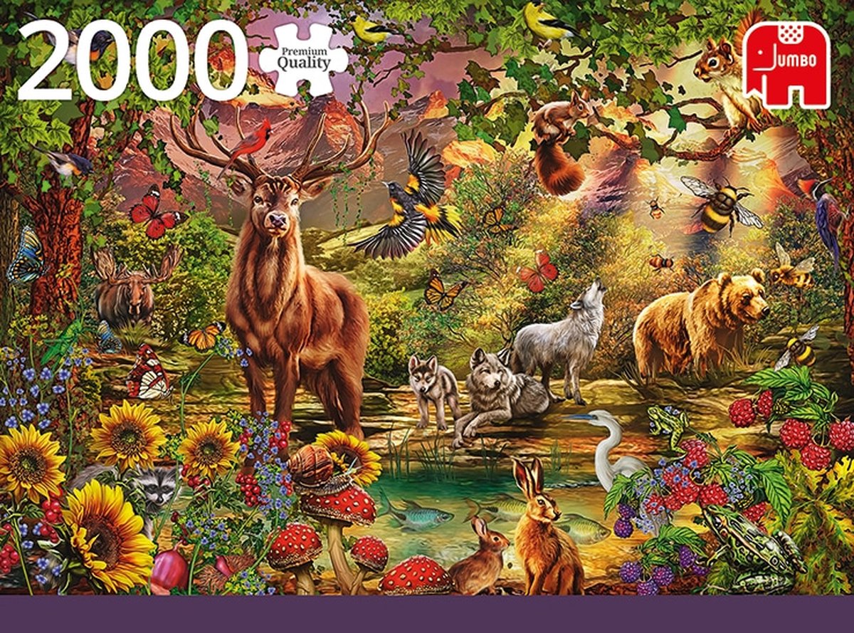 Jumbo Premium Collection Puzzel Magisch Bos bij Zonsondergang - Legpuzzel - 1500 stukjes