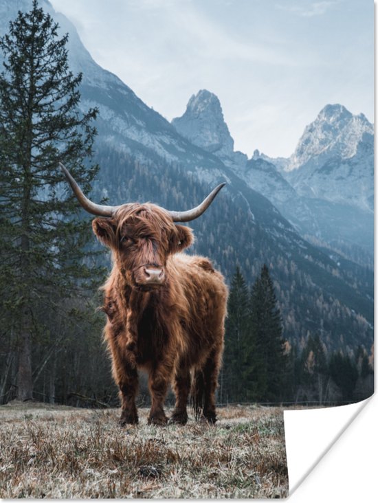 Poster Schotse hooglander - Berg - Landschap - Bomen - Koe - Natuur - 120x160 cm XXL