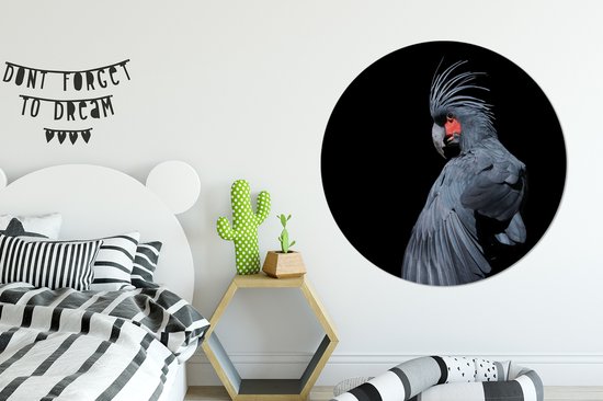 Cacatoès noir sur fond noir Sticker mural cercle mural ⌀ 140 cm / cercle papier peint / cercle mural / cercle vivant - autocollant & découpe ronde