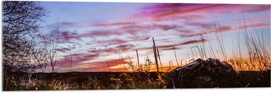 WallClassics - Acrylglas - Roze Wolken in de Lucht - 120x40 cm Foto op Acrylglas (Met Ophangsysteem)