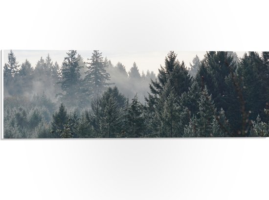 WallClassics - PVC Schuimplaat - Boomtoppen van het Bos in de Winter - 60x20 cm Foto op PVC Schuimplaat (Met Ophangsysteem)