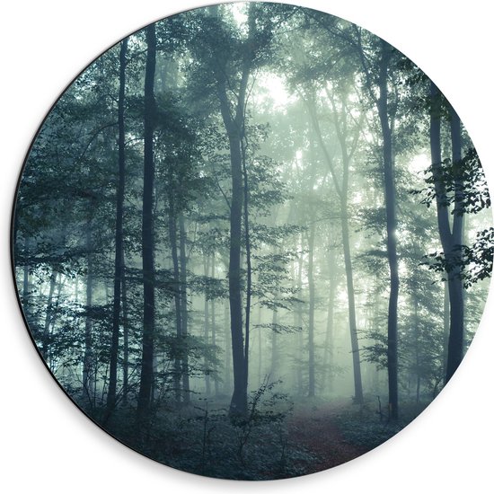 WallClassics - Dibond Muurcirkel - Mist in een Donker Bos - 30x30 cm Foto op Aluminium Muurcirkel (met ophangsysteem)