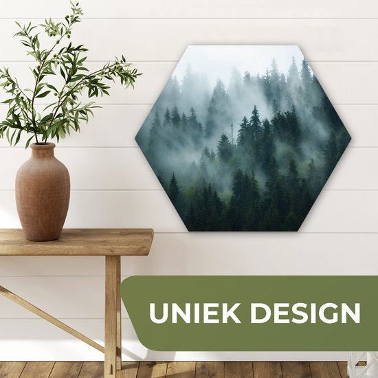 Hexagon wanddecoratie - Kunststof Wanddecoratie - Hexagon Schilderij - Mist - Bomen - Bos - 75x65 cm