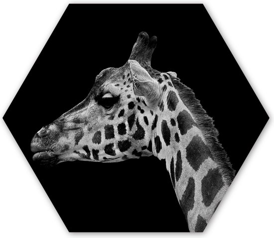 Hexagon wanddecoratie - Kunststof Wanddecoratie - Hexagon Schilderij - Dieren - Giraffe - Zwart - Wit - 75x65 cm