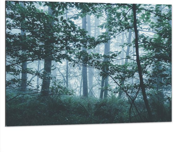 WallClassics - Dibond - Lichte Mist in een Groen Bos - 100x75 cm Foto op Aluminium (Wanddecoratie van metaal)