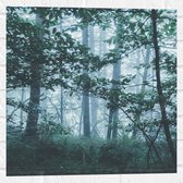 WallClassics - Muursticker - Brume lumineuse dans une forêt verte - 50x50 cm Photo sur Muursticker