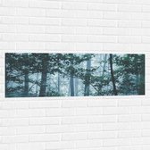 WallClassics - Muursticker - Brume Légère dans une Forêt Verte - 120x40 cm Photo sur Muursticker