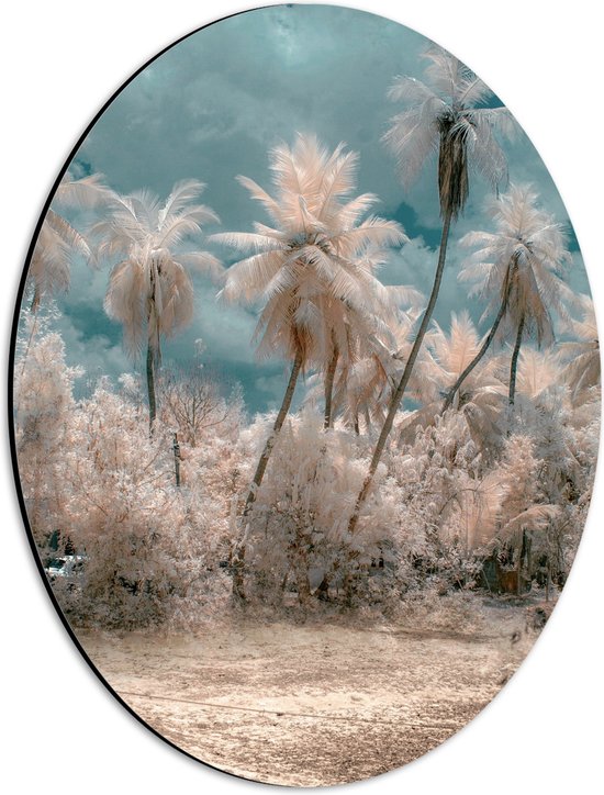 WallClassics - Dibond Ovaal - Witte Palmbomen - 30x40 cm Foto op Ovaal (Met Ophangsysteem)
