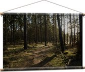 WallClassics - Textielposter - Schaduw over het Bospad - 90x60 cm Foto op Textiel