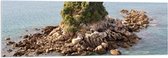 WallClassics - Acrylglas - Mini Eiland van Stenen en Planten in de Zee - 120x40 cm Foto op Acrylglas (Met Ophangsysteem)