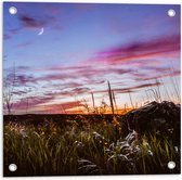 WallClassics - Tuinposter – Roze Wolken in de Lucht - 50x50 cm Foto op Tuinposter  (wanddecoratie voor buiten en binnen)