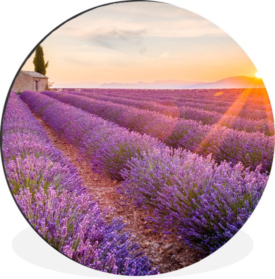 WallCircle - Cercle Mural - Cercle Mural - Lavande - Coucher de Soleil - Fleurs - Violet - Aluminium - Dibond - 140x140 cm - Intérieur et Extérieur