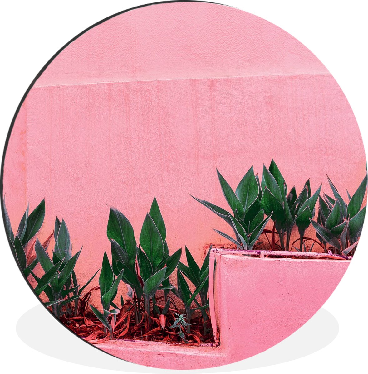 WallCircle - Wandcirkel - Muurcirkel - Planten - Zomer - Verf - Aluminium - Dibond - 30x30