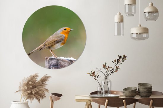 WallCircle - Cercle Mural - Cercle Mural - Animaux - Vogel - Rouge-gorge - Aluminium - Dibond - 120x120 cm - Intérieur et Extérieur XXL