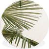 Palmbladeren Groen
