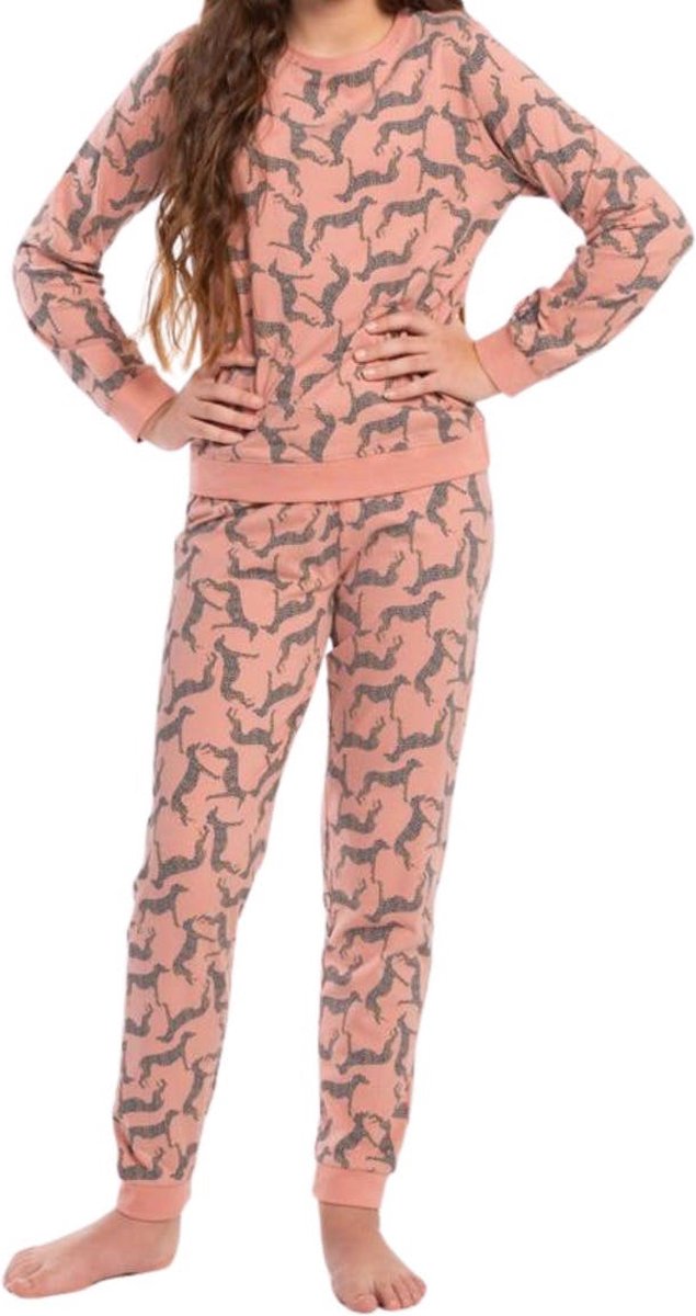 Eskimo Pyjama lange broek 'Pink' Katoen 140