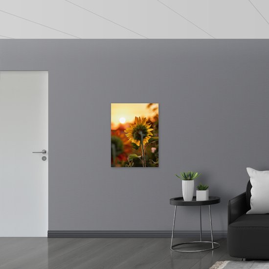 WallClassics - Plaque de Mousse PVC - Tournesol de Dos - 60x80 cm Photo sur Plaque de Mousse PVC