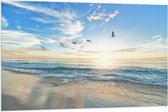 WallClassics - Drapeau - Mouettes au-dessus de la plage et de la mer - Photo 120x80 cm sur drapeau polyester