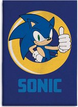 Sonic the Hedgehog with RIng Polar Blanket MERCHANDISE