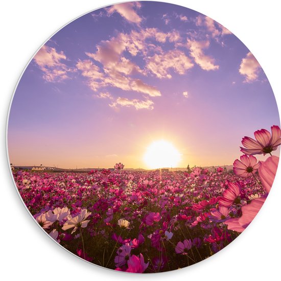 WallClassics - PVC Schuimplaat Muurcirkel - Veld Roze Bloemen met Paarse Lucht - 50x50 cm Foto op Muurcirkel (met ophangsysteem)