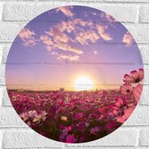 WallClassics - Sticker Muursticker Cercle - Champ Fleurs Roses avec Ciel Violet - 50x50 cm Photo sur Muursticker