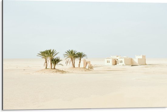 WallClassics - Dibond - Woestijn met Palmbomen en Gebouw - 75x50 cm Foto op Aluminium (Wanddecoratie van metaal)