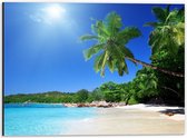 WallClassics - Dibond - Strand met Zon en Palmbomen - 40x30 cm Foto op Aluminium (Wanddecoratie van metaal)