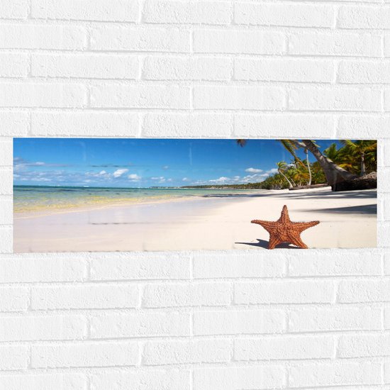 WallClassics - Muursticker - Zeester op een Tropisch Strand - 90x30 cm Foto op Muursticker