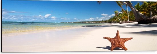 WallClassics - Dibond - Zeester op een Tropisch Strand - 90x30 cm Foto op Aluminium (Wanddecoratie van metaal)