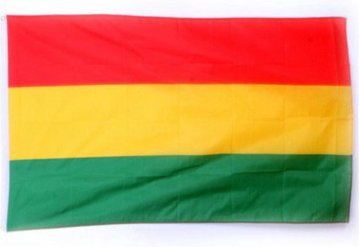 Zes teleurstellen moeilijk Vlag Carnaval in Limburg rood-geel-groen 90 x 150 cm | bol.com