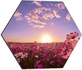 WallClassics - Dibond Hexagon - Veld Roze Bloemen met Paarse Lucht - 40x34.8 cm Foto op Hexagon (Met Ophangsysteem)