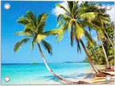 WallClassics - Tuinposter – Tropisch Strand met Palm Bomen - 40x30 cm Foto op Tuinposter  (wanddecoratie voor buiten en binnen)