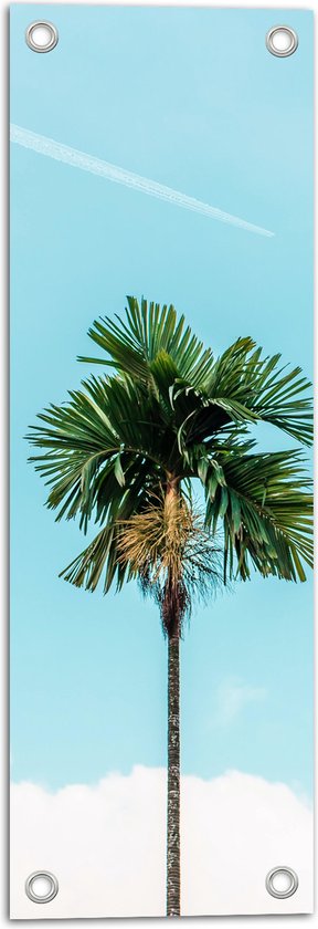 WallClassics - Tuinposter – Rechte Palmboom bij Blauwe Lucht en Wolken - 20x60 cm Foto op Tuinposter  (wanddecoratie voor buiten en binnen)