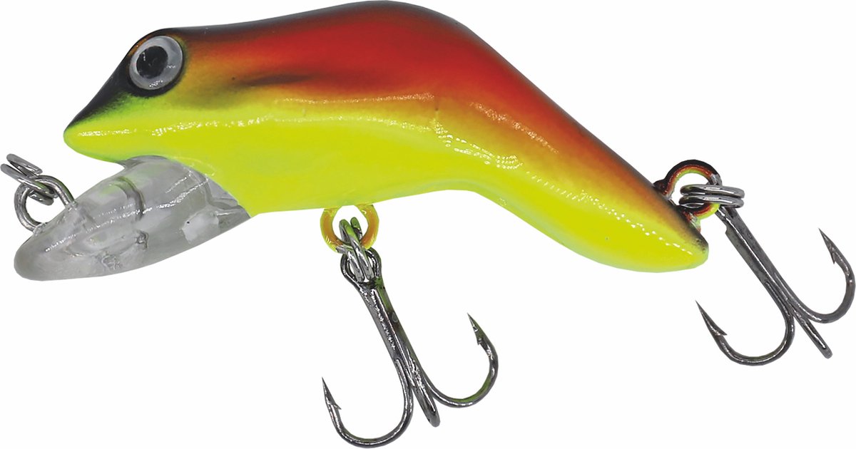 Albatros Catch21 Holy Frog Golden Dawn