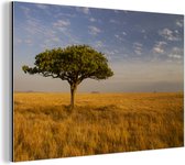 Wanddecoratie Metaal - Aluminium Schilderij Industrieel - De Savanne van het Nationaal park Serengeti in Tanzania - 180x120 cm - Dibond - Foto op aluminium - Industriële muurdecoratie - Voor de woonkamer/slaapkamer
