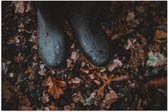WallClassics - Poster Glossy - Bottes de Pluie dans les Feuilles d'Automne - 150x100 cm Photo sur Papier Poster avec Finition Brillante