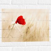 WallClassics - Muursticker - Rode Klaproos tussen de Droge Grassen - 40x30 cm Foto op Muursticker