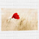 WallClassics - Muursticker - Rode Klaproos tussen de Droge Grassen - 75x50 cm Foto op Muursticker