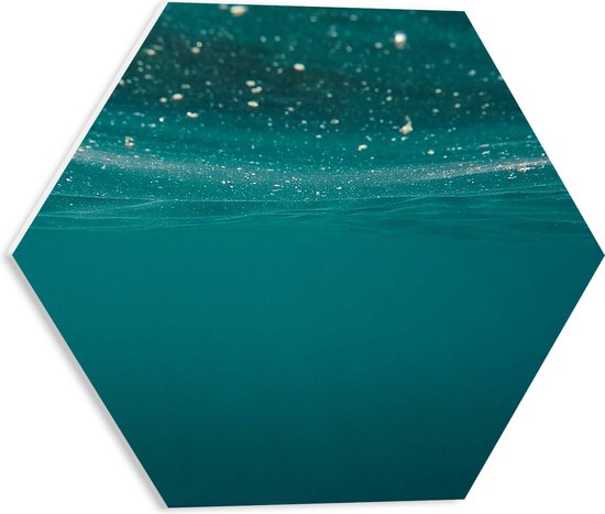 WallClassics - PVC Schuimplaat Hexagon  - Onderwater Foto - 40x34.8 cm Foto op Hexagon (Met Ophangsysteem)