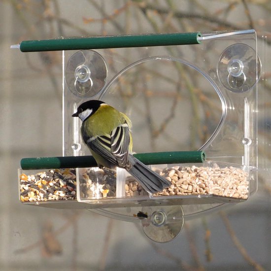 Mangeoires à fenêtre Transparent, Mangeoire Oiseaux Exterieur pour Oiseaux  Sauvages avec Ventouse Trous de Drainage, de Robin Petits Oiseaux Sauvages