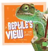 Pet Perspectives - A Reptile's View of the World