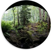 WallClassics - PVC Schuimplaat Muurcirkel - Groen In Grot - 60x60 cm Foto op Muurcirkel (met ophangsysteem)